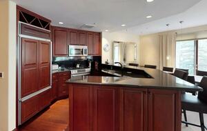 Vail Ski-in Ski-out Condo - Vail, Colorado