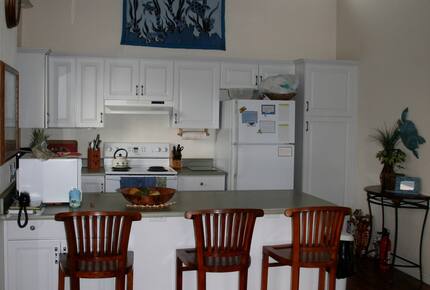 Ocean View Retreat Steps from the Beach - Captain Cook, Hawaii