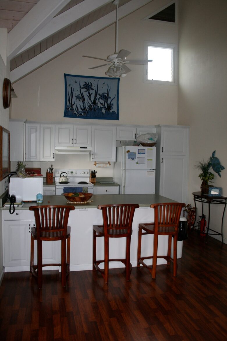 Ocean View Retreat Steps from the Beach - Captain Cook, Hawaii