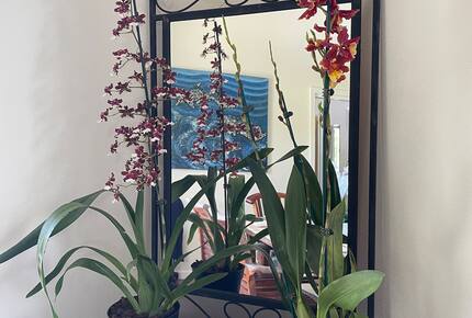 Ocean View Retreat Steps from the Beach - Captain Cook, Hawaii