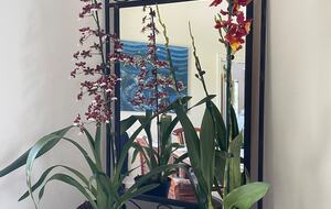 Ocean View Retreat Steps from the Beach - Captain Cook, Hawaii