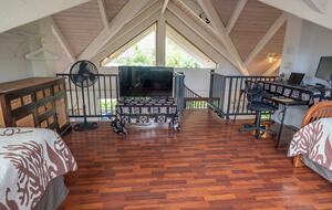 Ocean View Retreat Steps from the Beach - Captain Cook, Hawaii