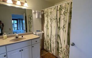 Ocean View Retreat Steps from the Beach - Captain Cook, Hawaii