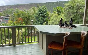 Ocean View Retreat Steps from the Beach - Captain Cook, Hawaii