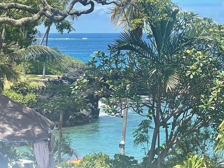 Ocean View Retreat Steps from the Beach - Captain Cook, Hawaii