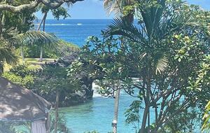 Ocean View Retreat Steps from the Beach - Captain Cook, Hawaii