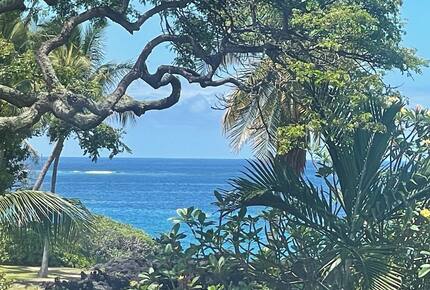 Ocean View Retreat Steps from the Beach - Captain Cook, Hawaii