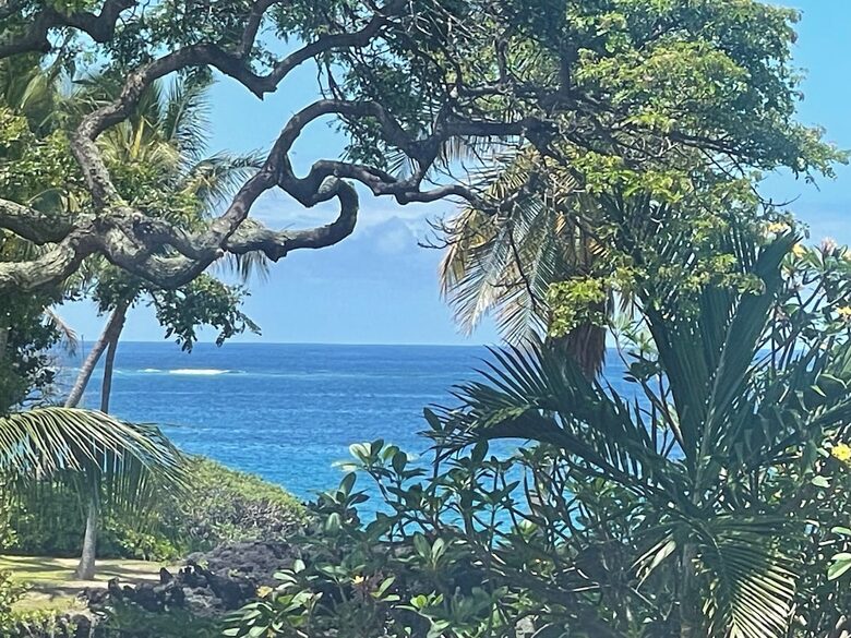 Ocean View Retreat Steps from the Beach - Captain Cook, Hawaii