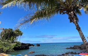 Ocean View Retreat Steps from the Beach - Captain Cook, Hawaii