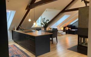 Central boho-chic loft 250ft2 terrace & 2 bathroom - Frogner, Norway