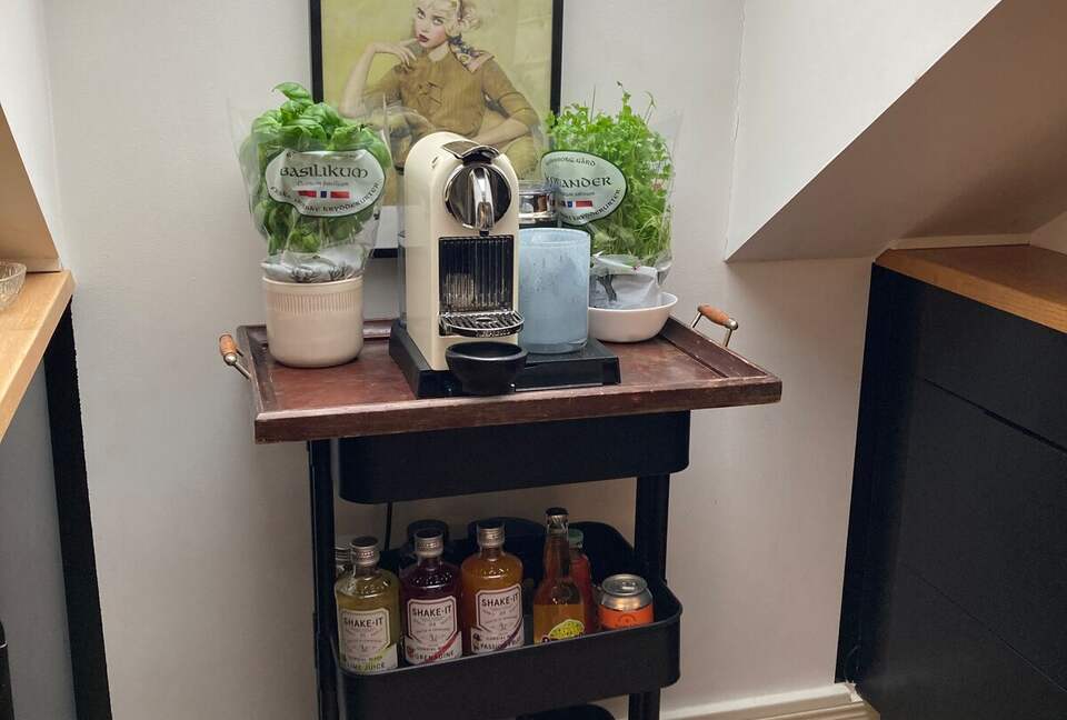 Central boho-chic loft 250ft2 terrace & 2 bathroom - Frogner, Norway