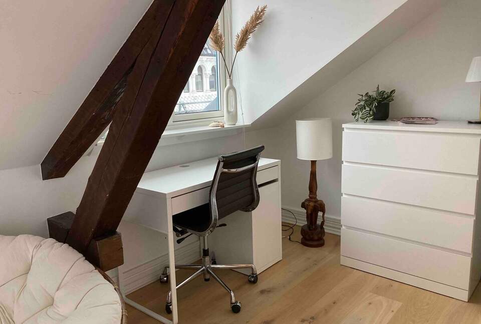 Central boho-chic loft 250ft2 terrace & 2 bathroom - Frogner, Norway