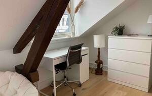 Central boho-chic loft 250ft2 terrace & 2 bathroom - Frogner, Norway