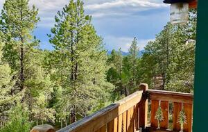 The Divide Alpine Retreat - Divide, Colorado
