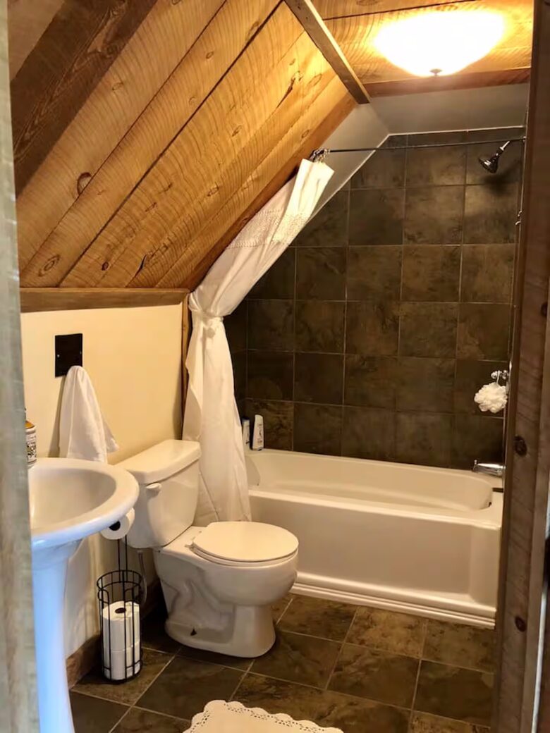 The Divide Alpine Retreat - Divide, Colorado