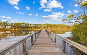 Beach Bliss | WaterSound West Beach Cottage - Santa Rosa Beach, Florida