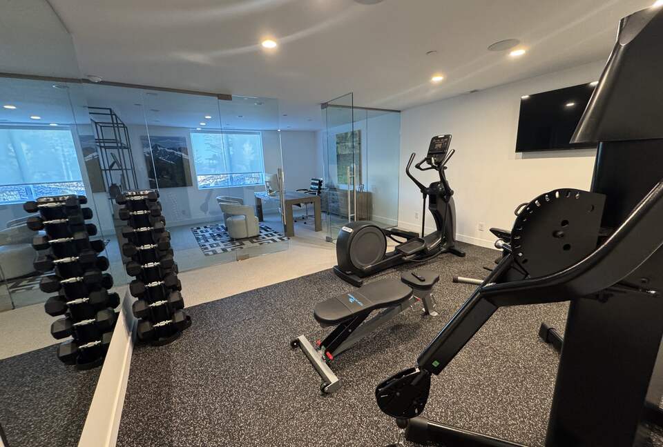 Lots of gym equipment in home