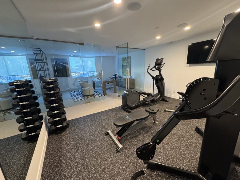Lots of gym equipment in home