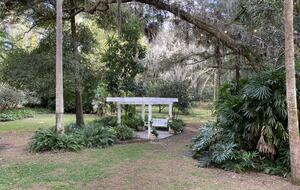 Countryside Escape Near Orlando with Private Acreage - Orlando, Florida