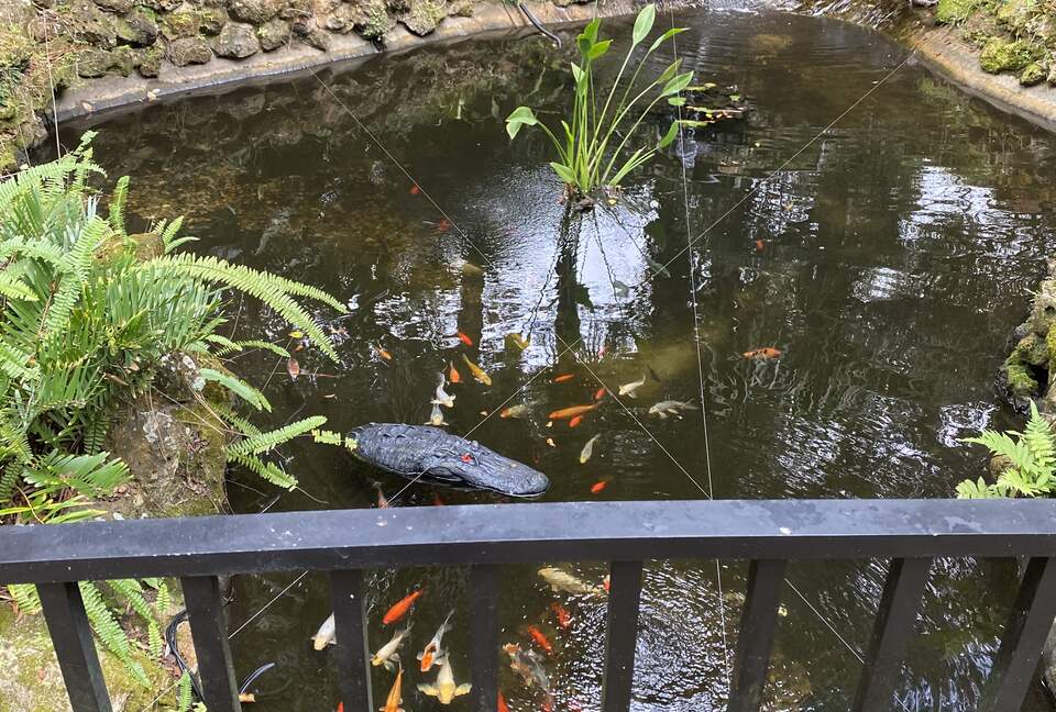 Countryside Escape Near Orlando with Private Acreage - Orlando, Florida