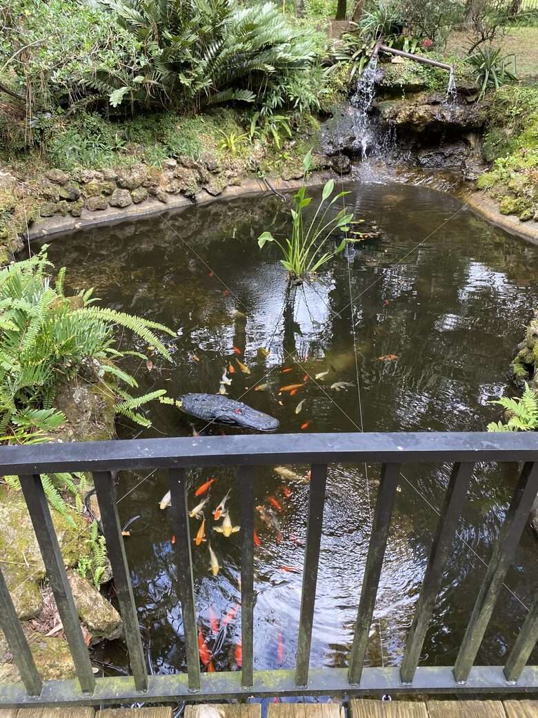 Countryside Escape Near Orlando with Private Acreage - Orlando, Florida