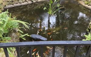 Countryside Escape Near Orlando with Private Acreage - Orlando, Florida