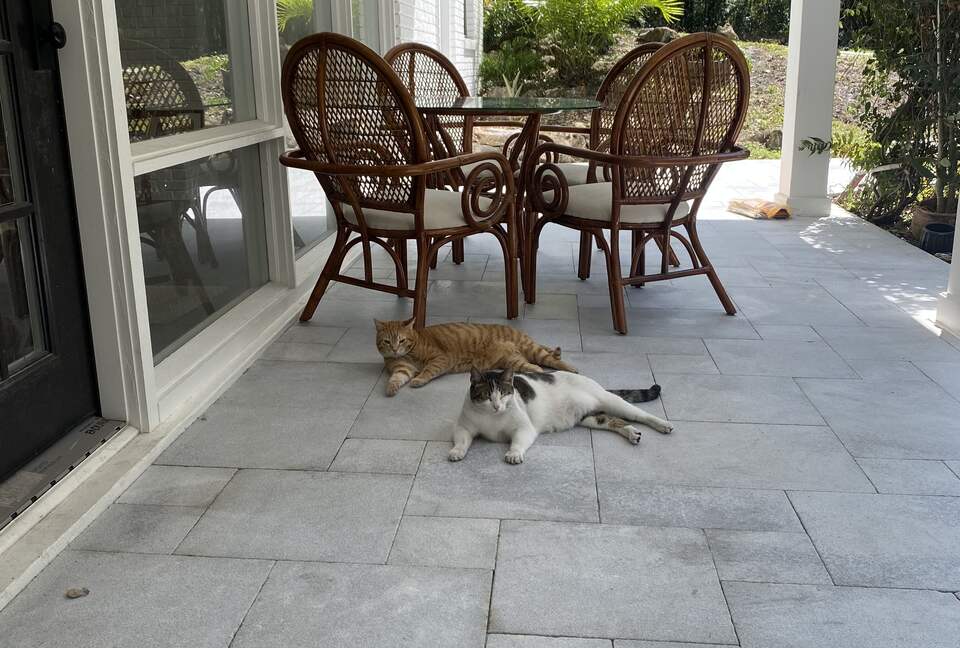 Countryside Escape Near Orlando with Private Acreage - Orlando, Florida