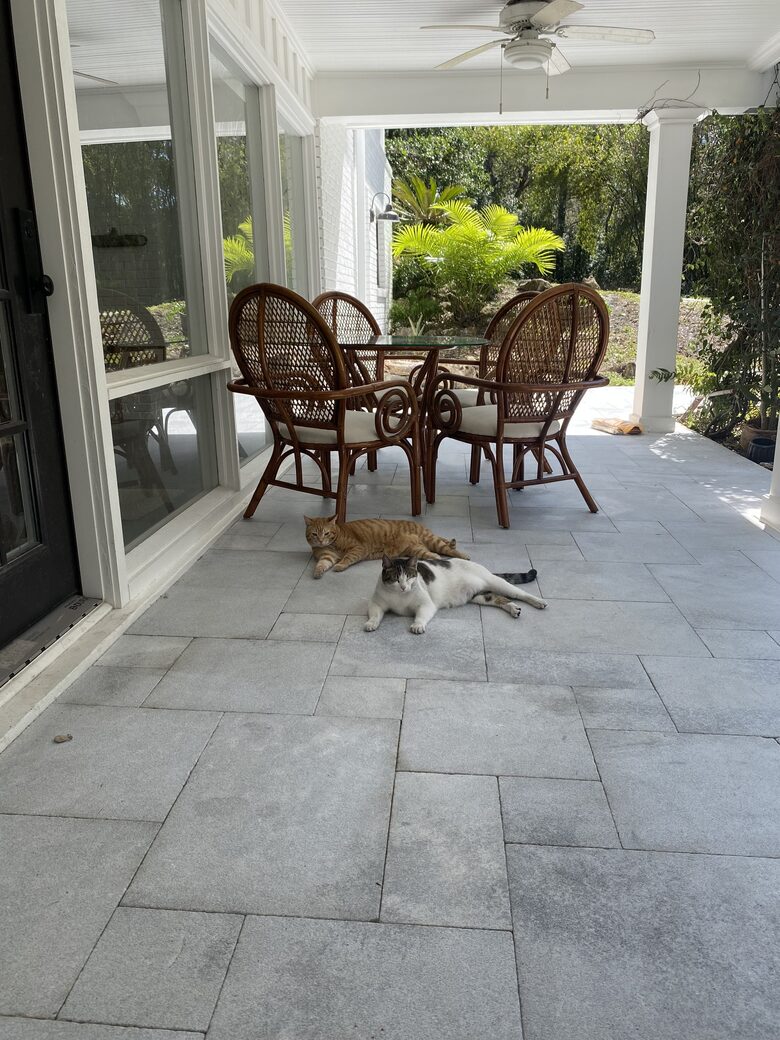 Countryside Escape Near Orlando with Private Acreage - Orlando, Florida