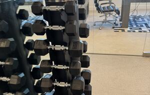 Gym on lower level of home