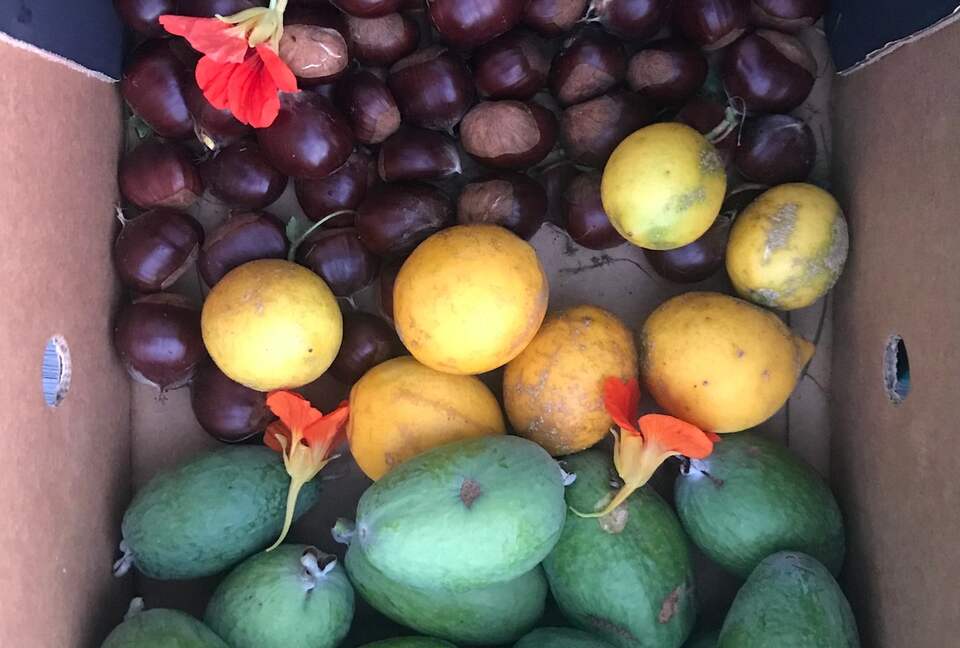 A Peaceful Architectural Sanctuary with Spa Pool - Te Horo, New Zealand