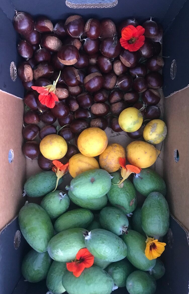 A Peaceful Architectural Sanctuary with Spa Pool - Te Horo, New Zealand