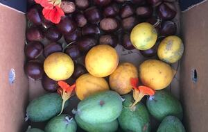 A Peaceful Architectural Sanctuary with Spa Pool - Te Horo, New Zealand