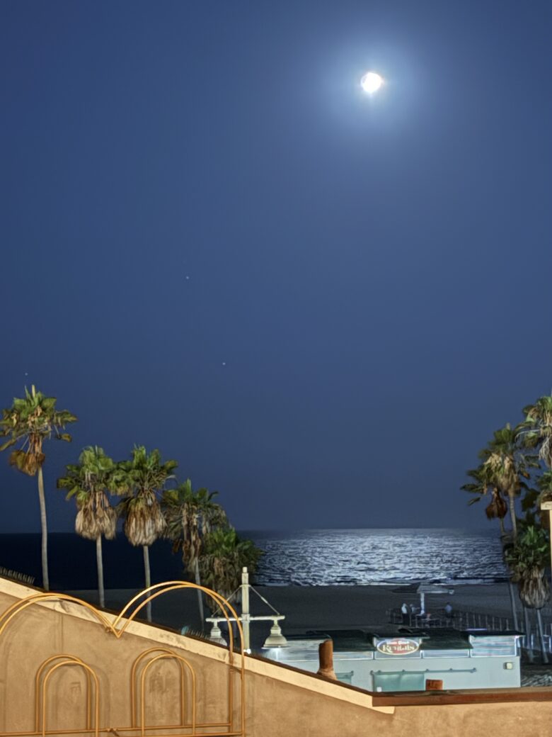 Luxury by the Sea | A Venice Beach Architectural Gem - Venice, California