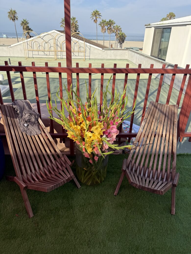 Luxury by the Sea | A Venice Beach Architectural Gem - Venice, California