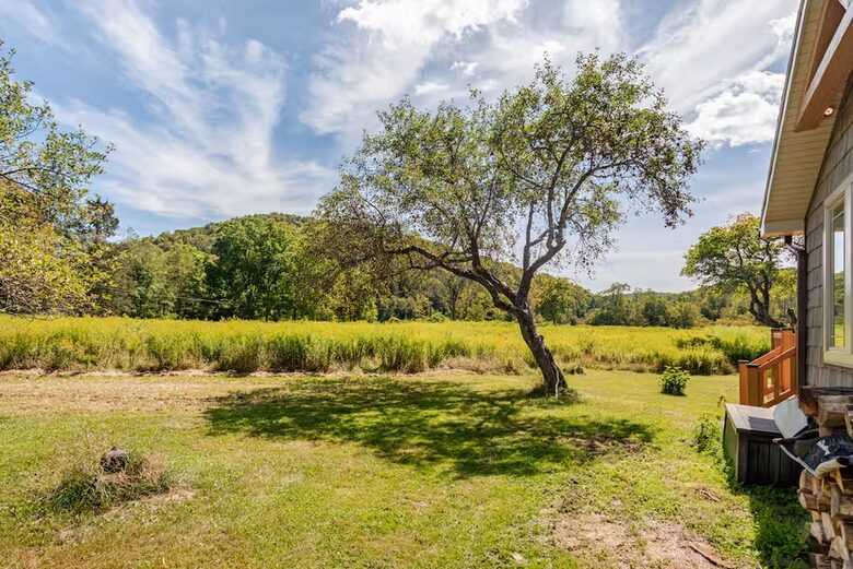East Branch Nature House - Drink From A Private Spring Source - East Branch, New York