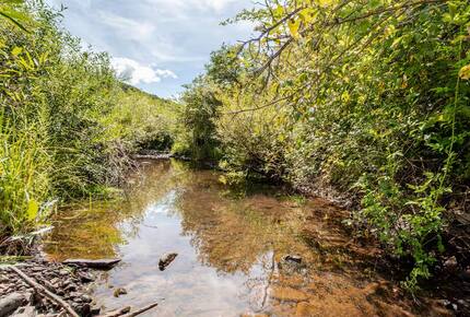 East Branch Nature House - Drink From A Private Spring Source - East Branch, New York