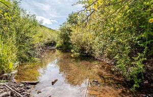 East Branch Nature House - Drink From A Private Spring Source - East Branch, New York