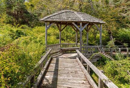 East Branch Nature House - Drink From A Private Spring Source - East Branch, New York