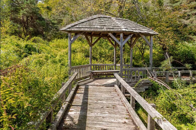 East Branch Nature House - Drink From A Private Spring Source - East Branch, New York
