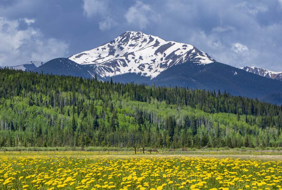 Fraser Valley Alpine Haven - Fraser, Colorado