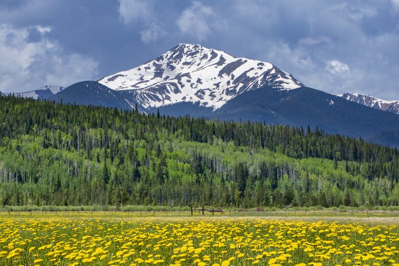 Fraser Valley Alpine Haven - Fraser, Colorado