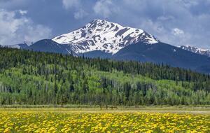 Fraser Valley Alpine Haven - Fraser, Colorado