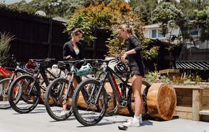 Meet Lady Redwood - Bike Parking in i-bike zone