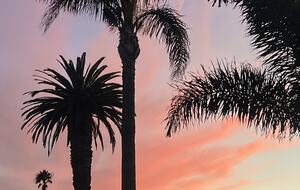 Downtown Huntington Beach Escape - Huntington Beach, California