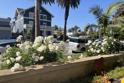 View Across Street from front patio