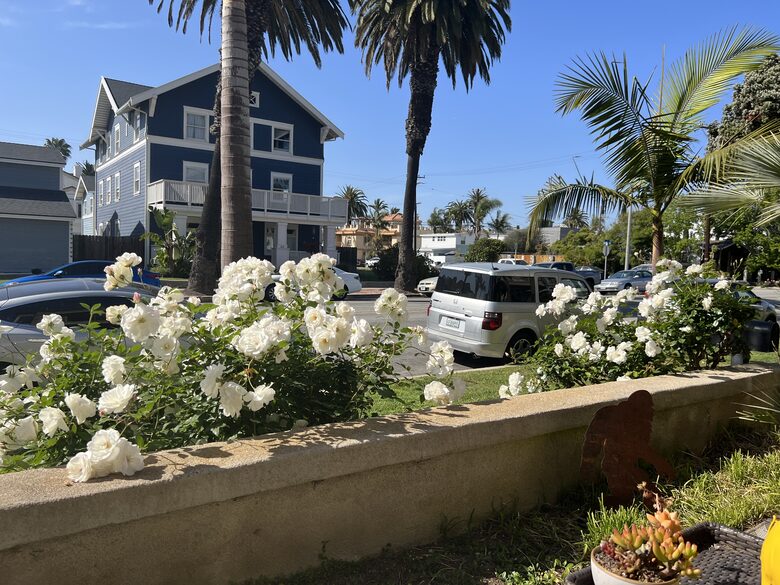 View Across Street from front patio
