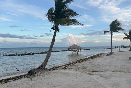 Caye Caulker Coastal Haven - Caye Caulker, Belize