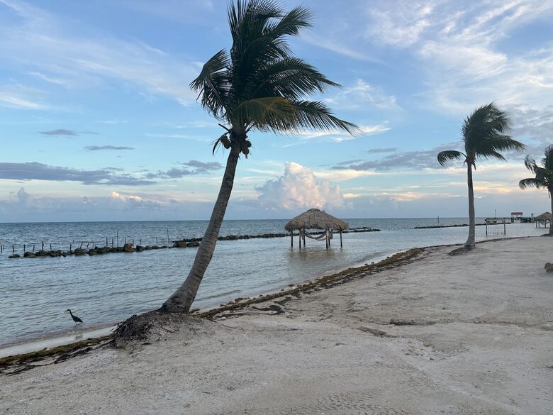 Caye Caulker Coastal Haven - Caye Caulker, Belize