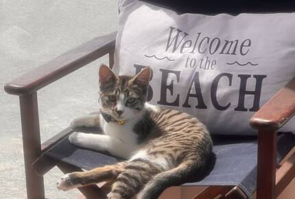 Coastal Haven on Corcoran - Goolwa Beach, Australia