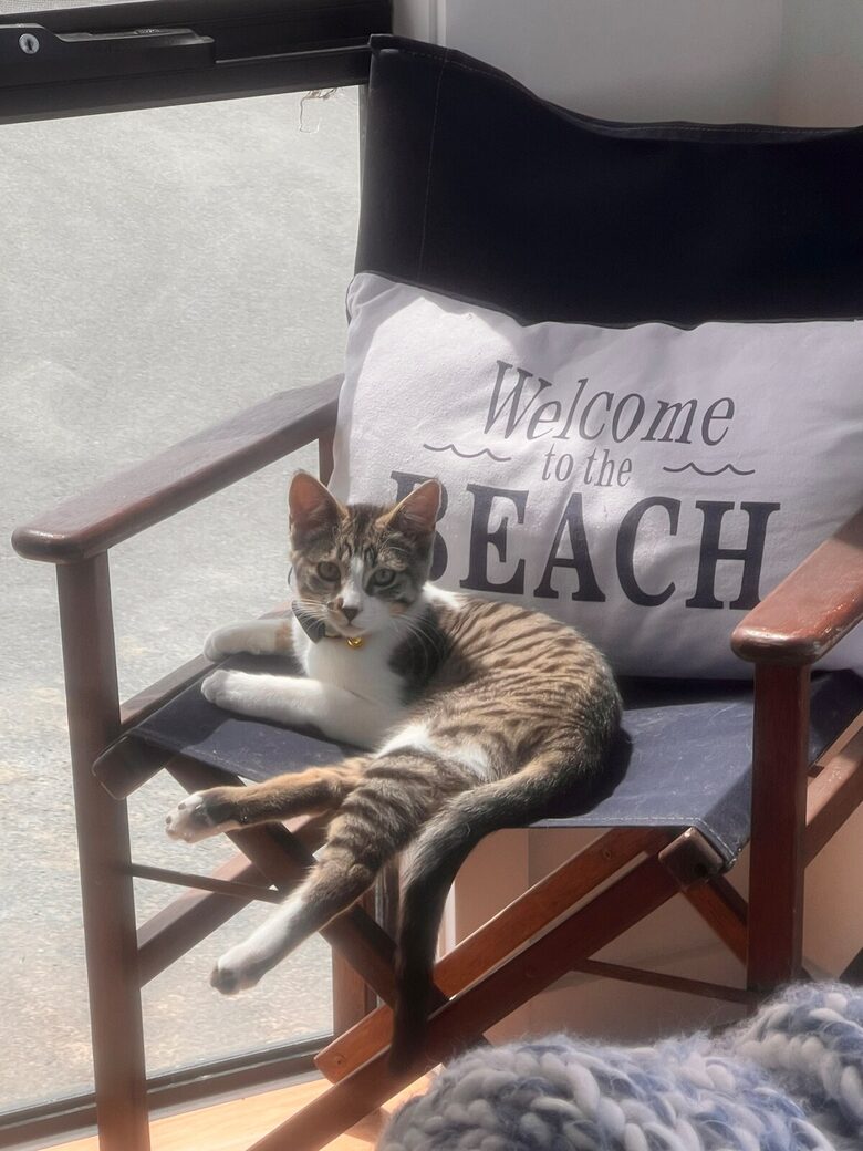 Coastal Haven on Corcoran - Goolwa Beach, Australia